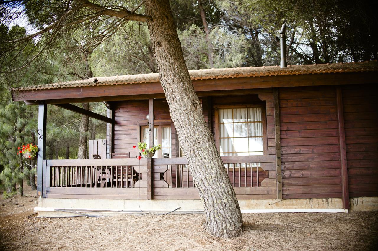 Kibbutz Ortal Tourism Hotel Kültér fotó